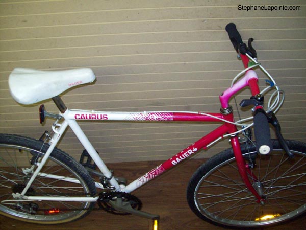 Vélo Steve Bauer Caurus - StephaneLapointe.com