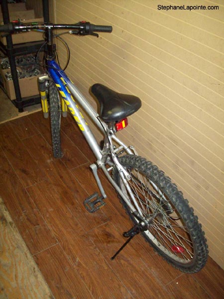 Vélo Leader Neon - StephaneLapointe.com