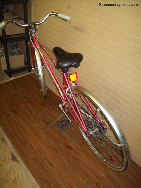 Vélo Leader LE3001 - StephaneLapointe.com