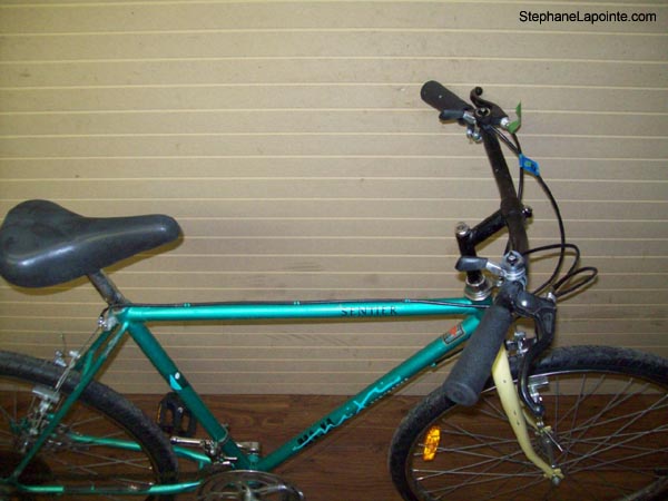 Vélo Niji Sentier - StephaneLapointe.com