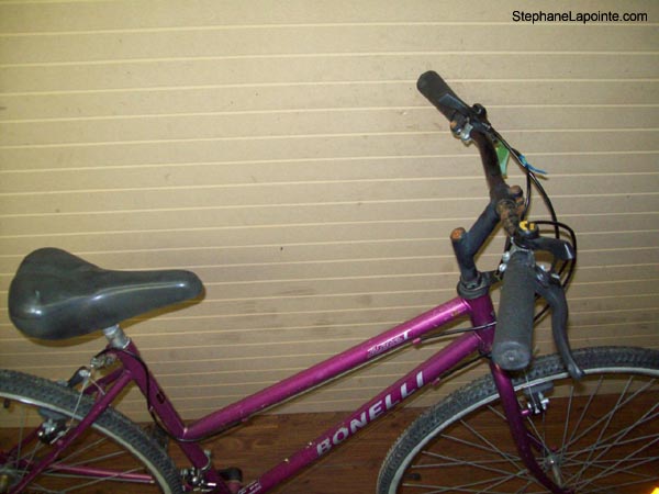 Vélo Bonelli Lite - StephaneLapointe.com