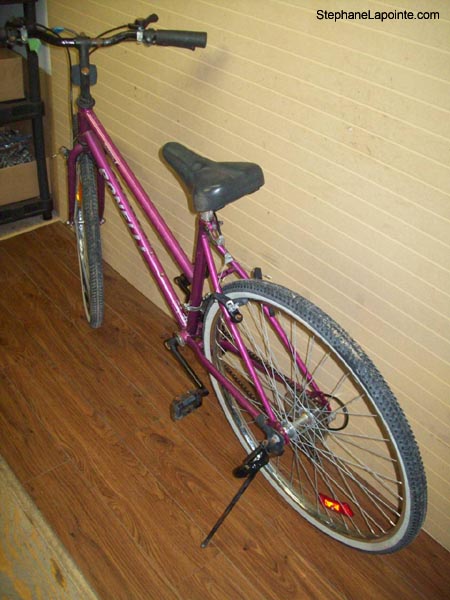 Vélo Bonelli Lite - StephaneLapointe.com