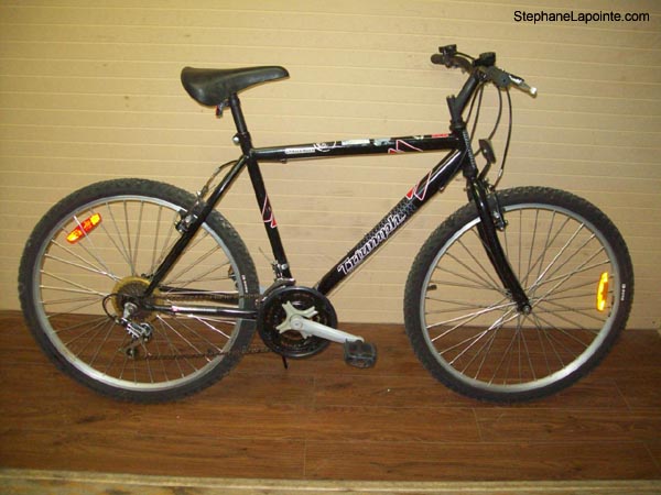 Vélo Triumph Challenger - StephaneLapointe.com