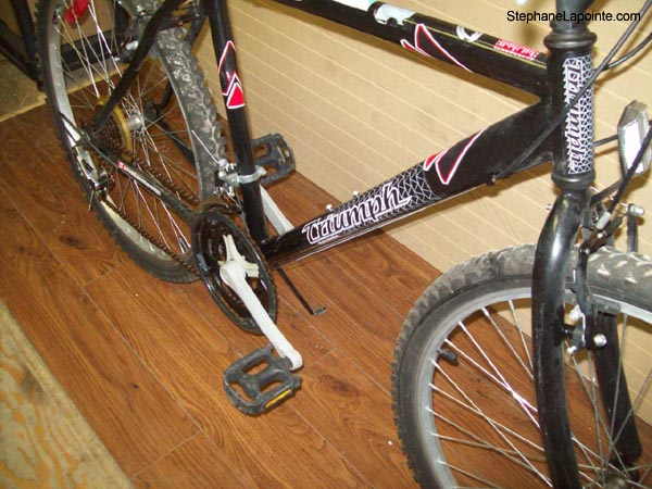 Vélo Triumph Challenger - StephaneLapointe.com