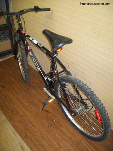 Vélo Triumph Challenger - StephaneLapointe.com