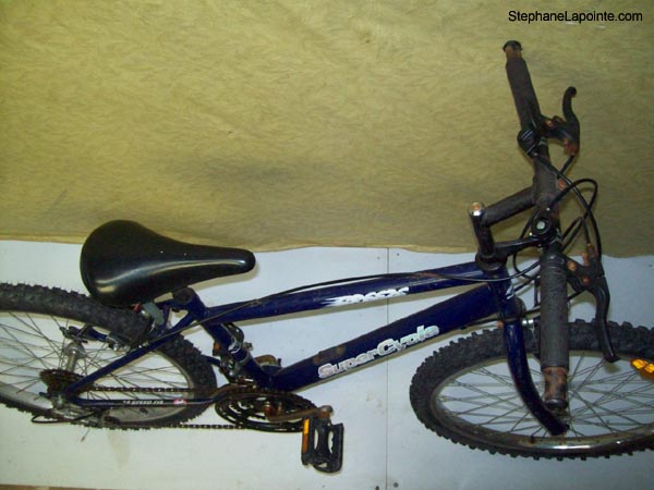 Vélo Supercycle Breeze - StephaneLapointe.com