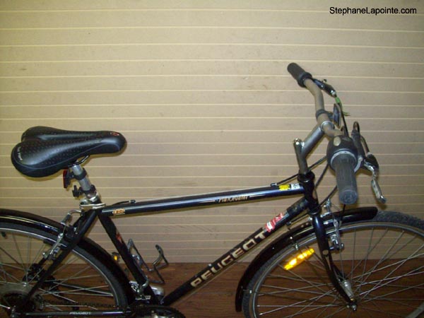 Vélo Peugeot Panorama - StephaneLapointe.com