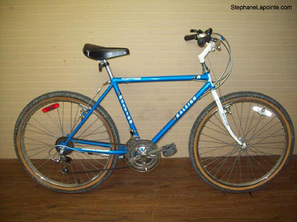 Vélo Raleigh Portage - StephaneLapointe.com