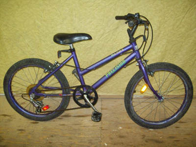 Vélo Precision PR1025 - StephaneLapointe.com