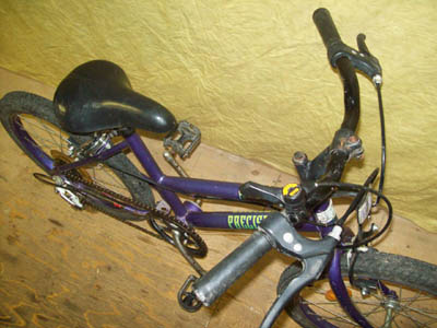 Vélo Precision PR1025 - StephaneLapointe.com