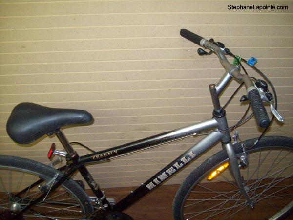 Vélo Minelli Promenade - StephaneLapointe.com