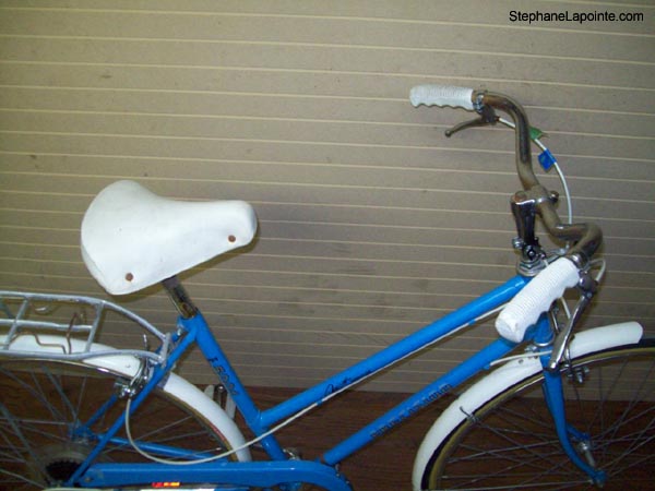 Vélo Precision PR 5001 - StephaneLapointe.com