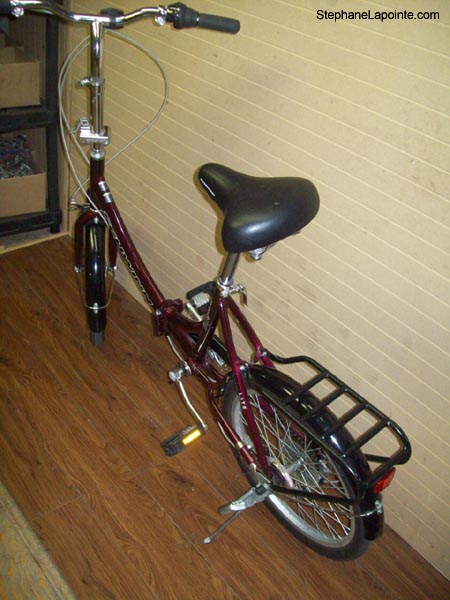 Vélo Schwinn Tango - StephaneLapointe.com