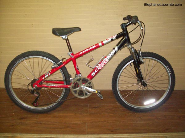 Vélo Schwinn 210-FS - StephaneLapointe.com