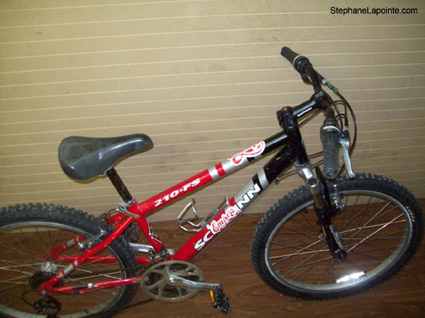 Vélo Schwinn 210-FS - StephaneLapointe.com