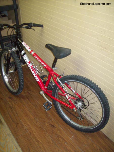 Vélo Schwinn 210-FS - StephaneLapointe.com