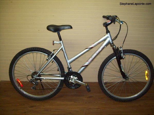 Vélo Raleigh Summit - StephaneLapointe.com
