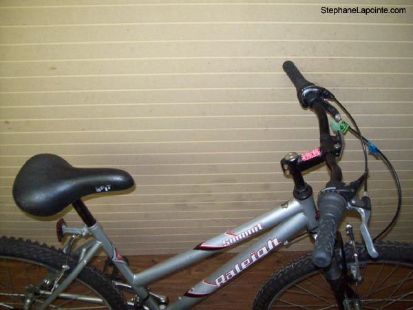 Vélo Raleigh Summit - StephaneLapointe.com