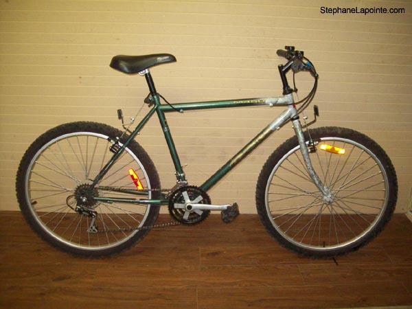 Vélo CCM M450 - StephaneLapointe.com