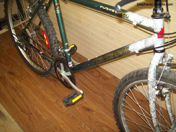 Vélo CCM M450 - StephaneLapointe.com