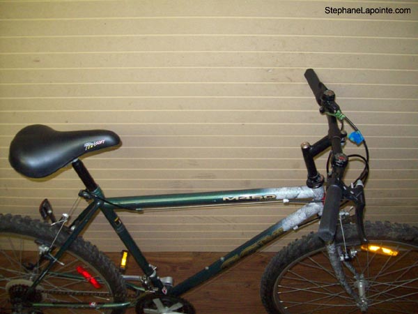 Vélo CCM M450 - StephaneLapointe.com