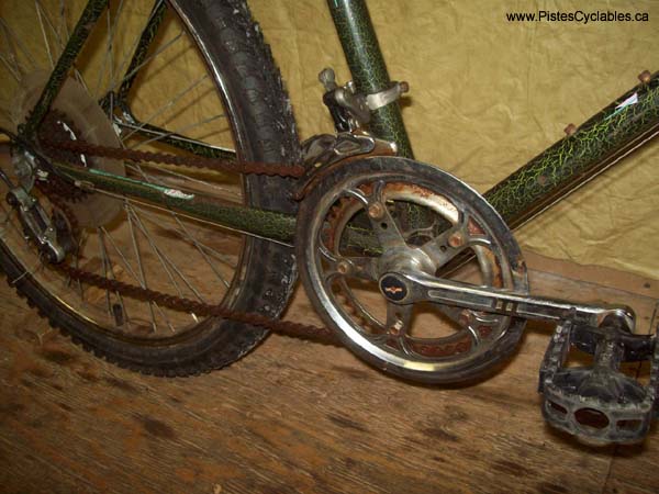 Vélo Leader  - StephaneLapointe.com