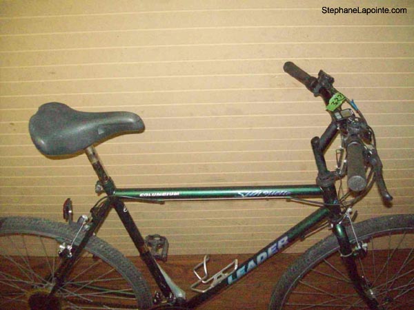Vélo Leader Silhouette - StephaneLapointe.com
