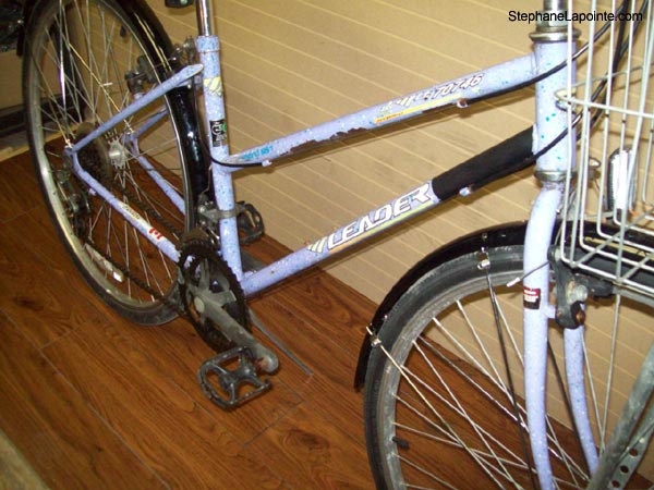 Vélo Leader LE 70746 - StephaneLapointe.com