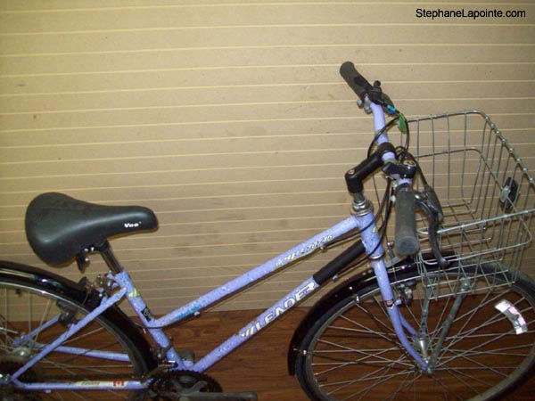 Vélo Leader LE 70746 - StephaneLapointe.com