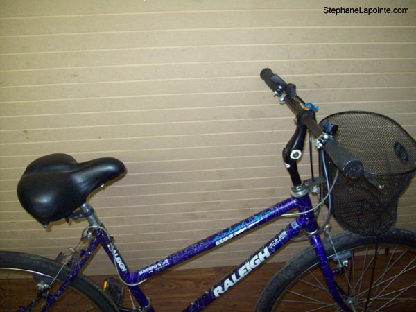 Vélo Raleigh Ambush - StephaneLapointe.com