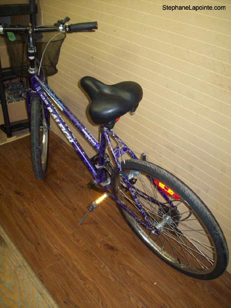 Vélo Raleigh Ambush - StephaneLapointe.com