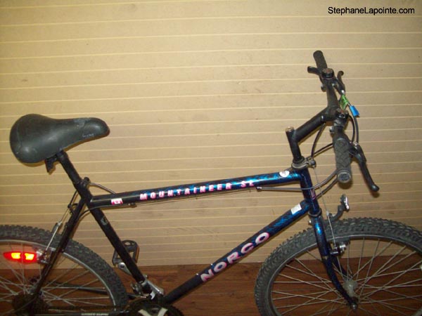 Vélo Norco Mountaineer SL - StephaneLapointe.com