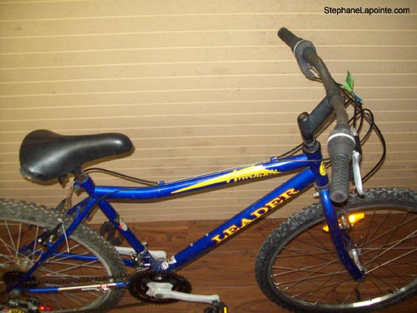 Vélo Leader Adventure - StephaneLapointe.com