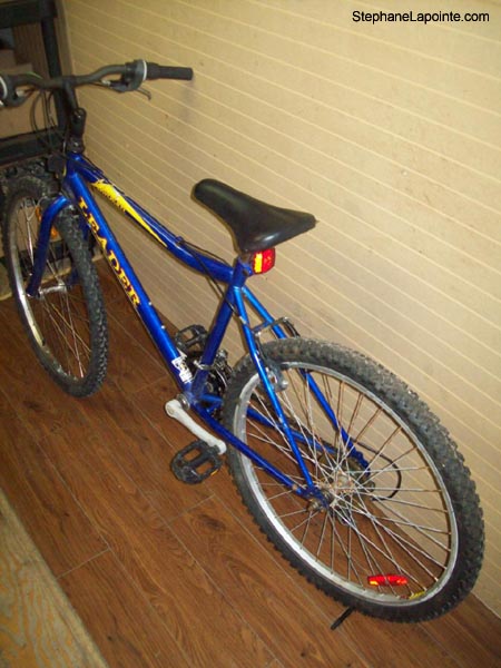 Vélo Leader Adventure - StephaneLapointe.com