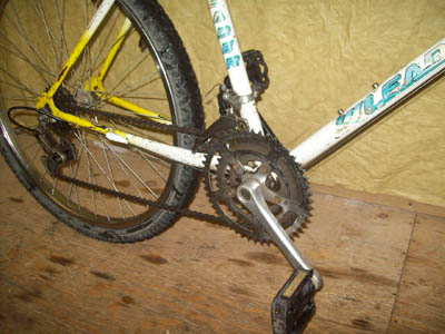 Vélo Leader LE 60740 - StephaneLapointe.com