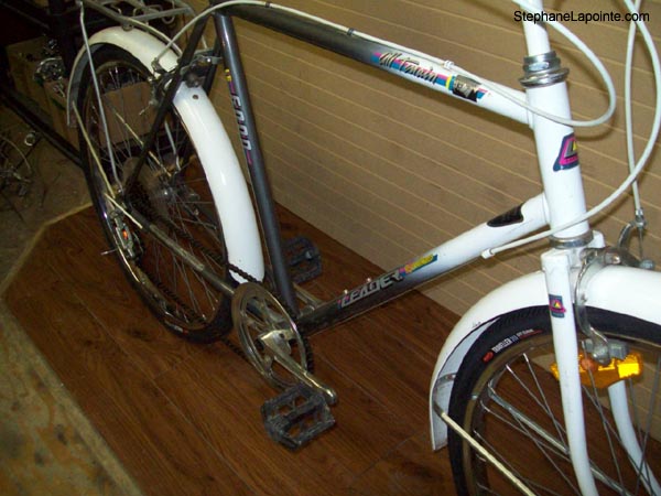 Vélo Leader LE 6000 - StephaneLapointe.com