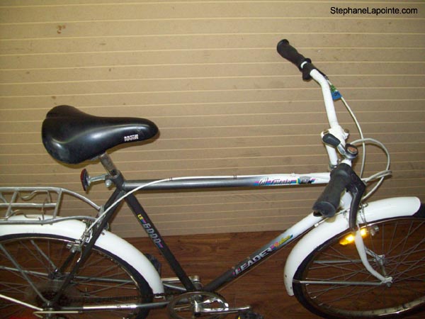 Vélo Leader LE 6000 - StephaneLapointe.com