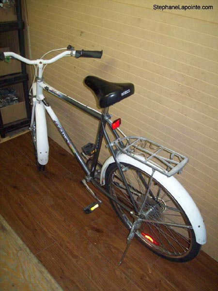 Vélo Leader LE 6000 - StephaneLapointe.com