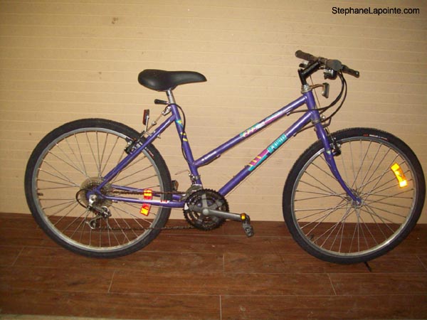 Vélo McKinley Horizon - StephaneLapointe.com