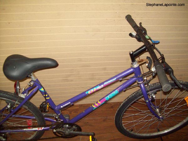 Vélo McKinley Horizon - StephaneLapointe.com