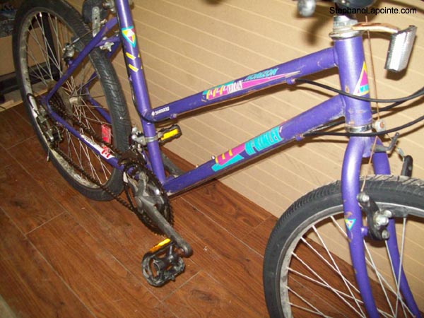 Vélo McKinley Horizon - StephaneLapointe.com