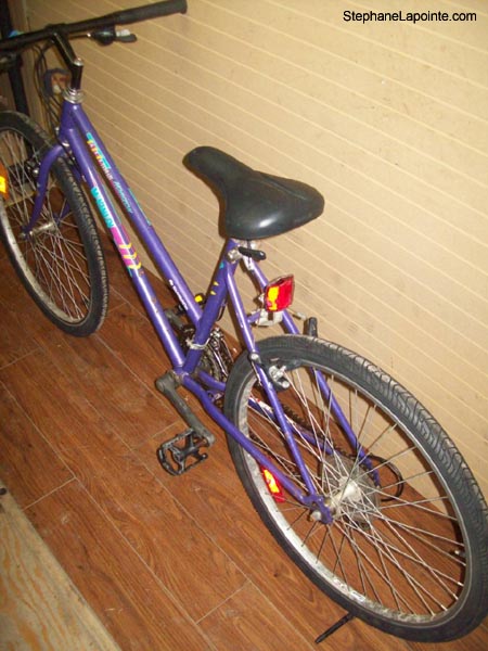 Vélo McKinley Horizon - StephaneLapointe.com