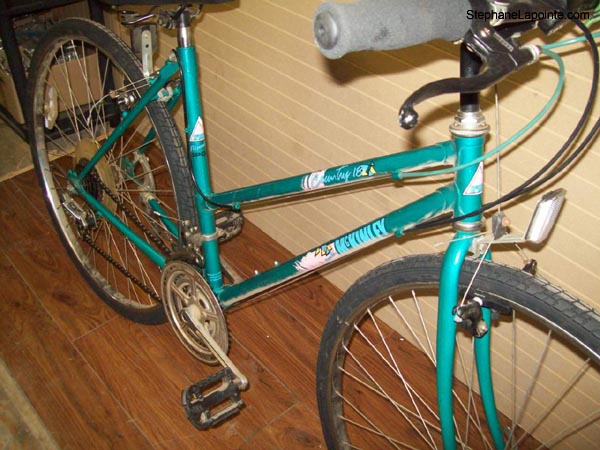 Vélo McKinley Country 18 - StephaneLapointe.com
