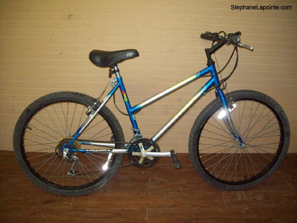 Vélo Raleigh Discovery - StephaneLapointe.com