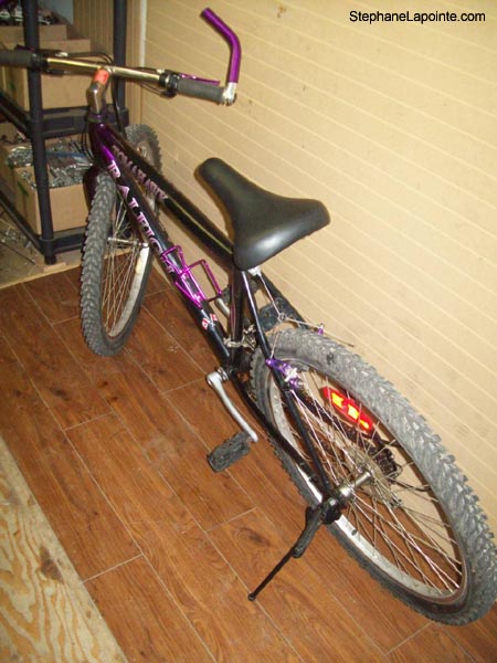Vélo Raleigh Tomahawk - StephaneLapointe.com