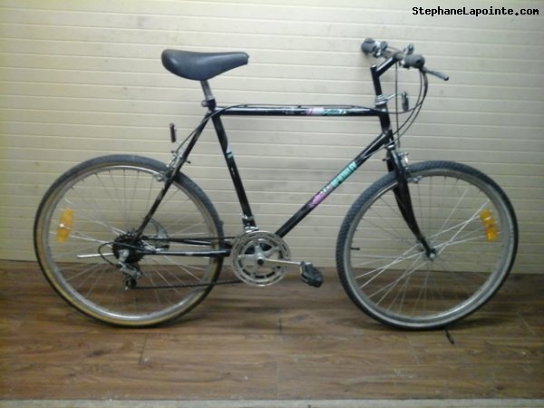 Vélo McKinley Aventurier - StephaneLapointe.com
