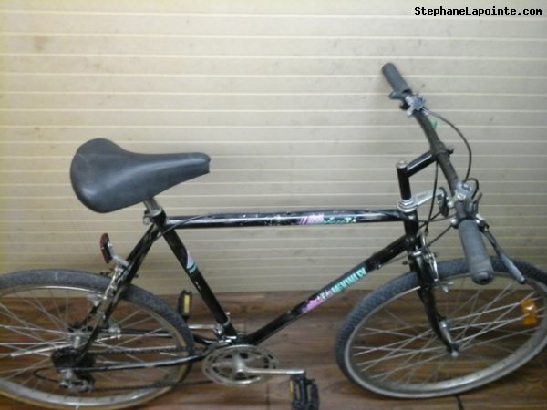 Vélo McKinley Aventurier - StephaneLapointe.com