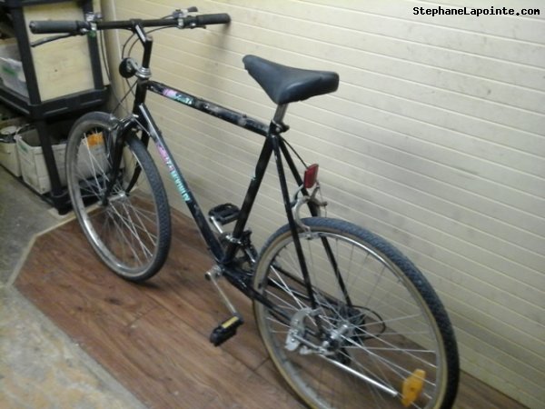Vélo McKinley Aventurier - StephaneLapointe.com