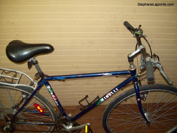 Vélo Minelli Mojave - StephaneLapointe.com