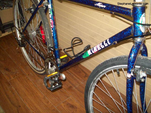 Vélo Minelli Mojave - StephaneLapointe.com